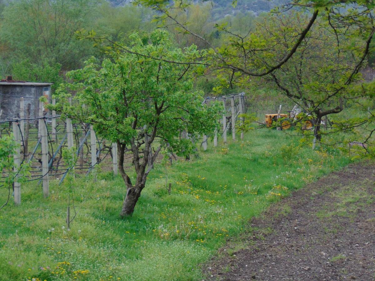 Studio And Winery Kalimut Hostal Virpazar Exterior foto