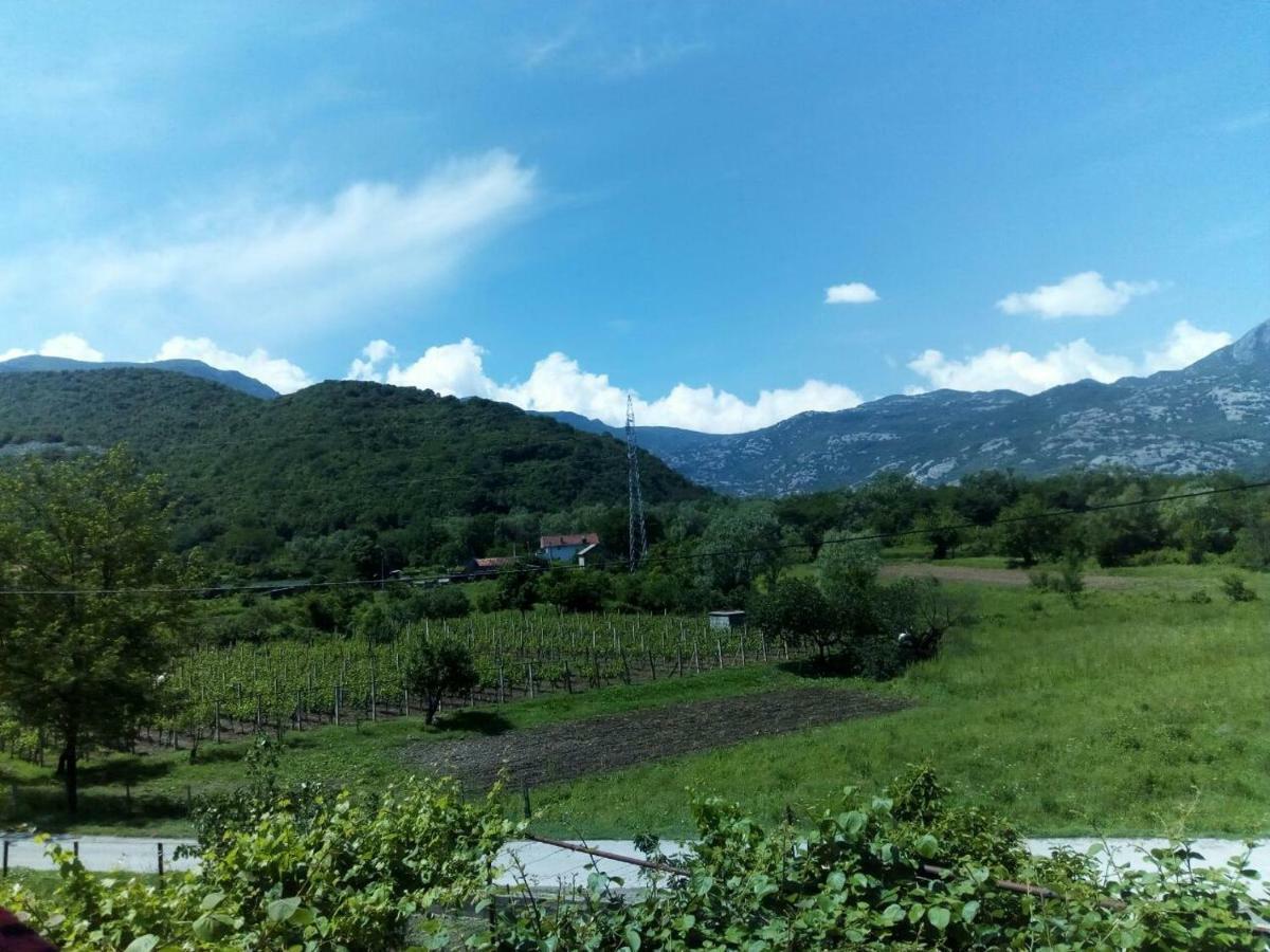 Studio And Winery Kalimut Virpazar Exterior foto